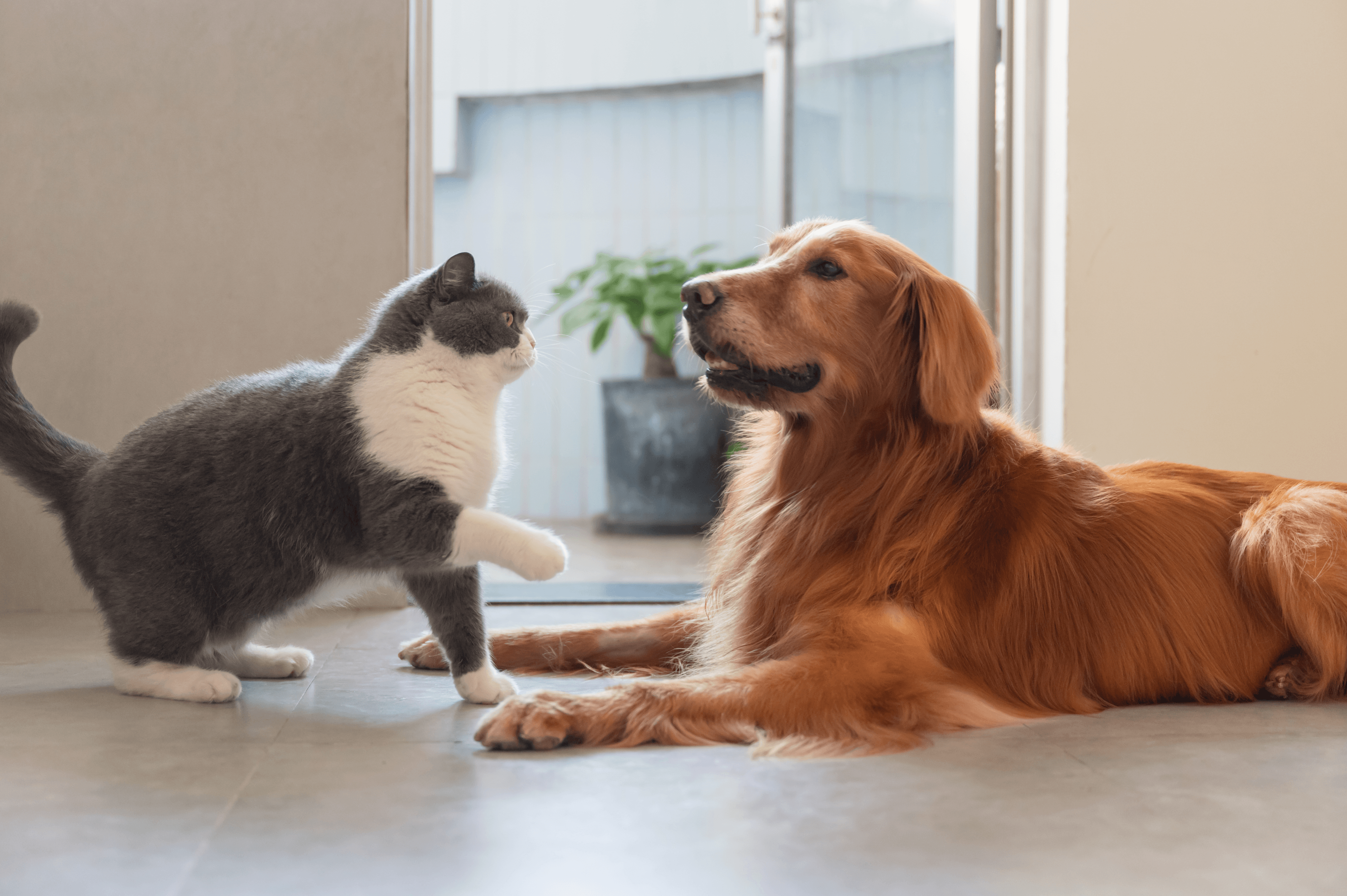 For Breeder Hero Image