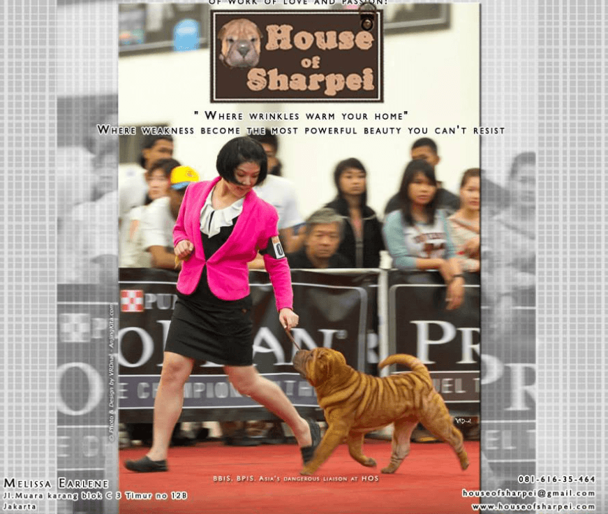 House of Sharpei